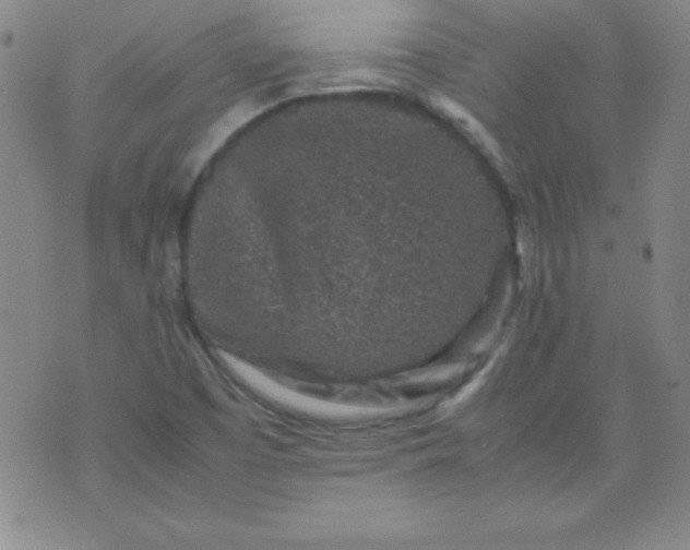 X0000070411457200606231816