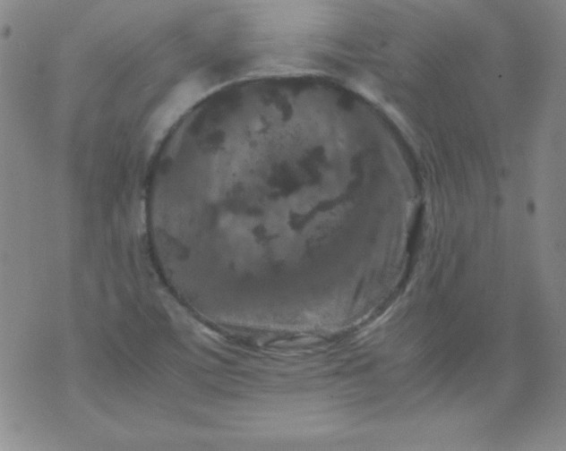 X0000070411459200606231816