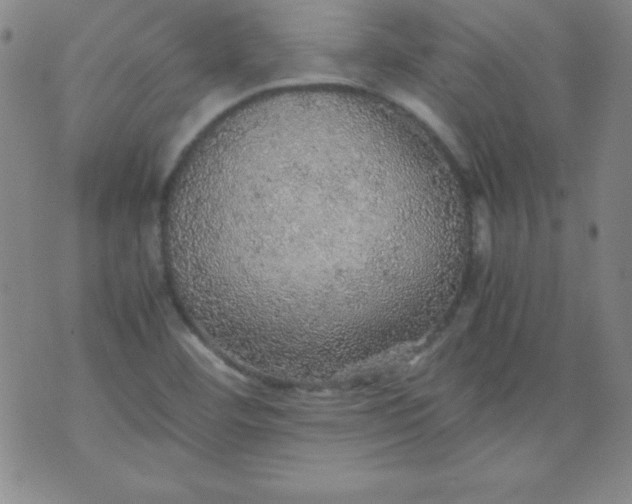 X0000070411460200606231816