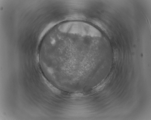 X0000070411462200606231816