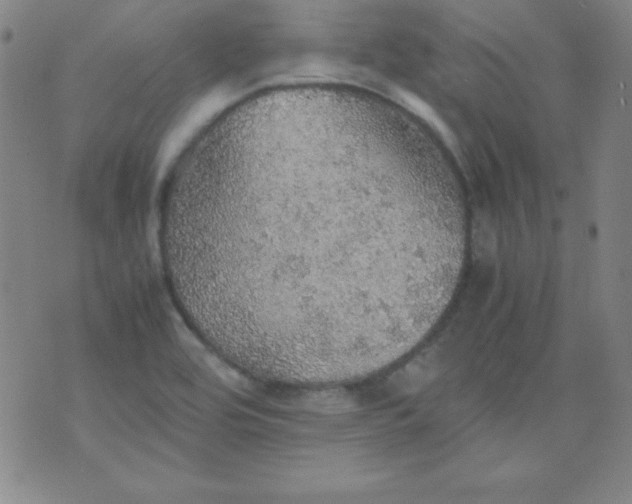 X0000070411464200606231816