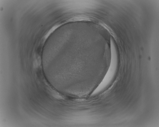 X0000070411465200606231816