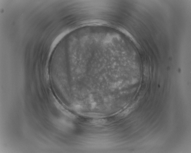 X0000070411466200606231816