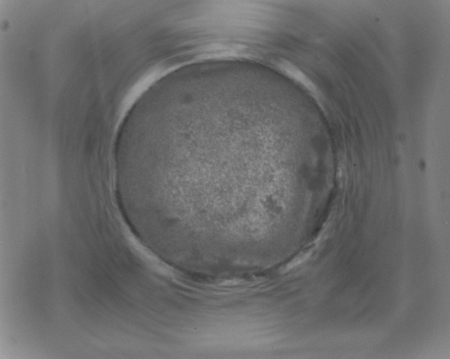 X0000070411467200606231816