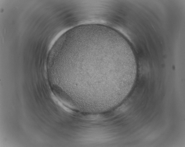 X0000070411468200606231816