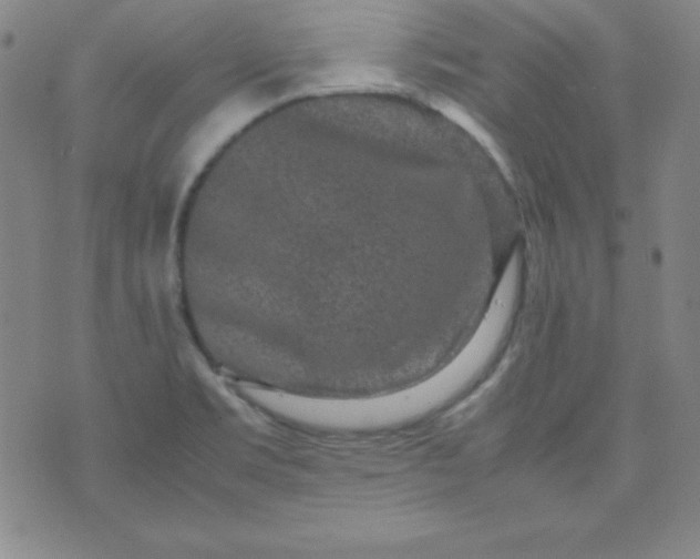 X0000070411469200606231816