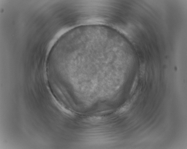 X0000070411470200606231816