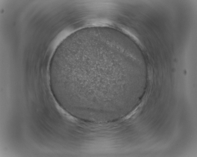 X0000070411471200606231816