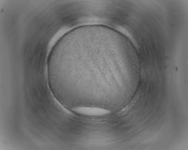 X0000070411472200606231816