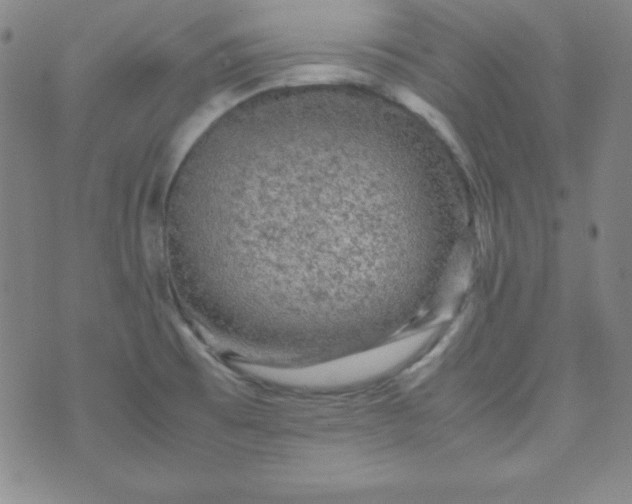 X0000070411473200606231816