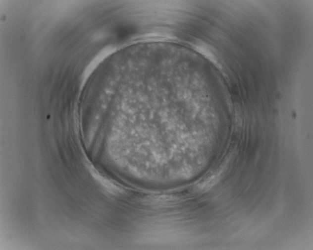 X0000070411474200606231816