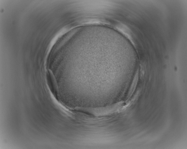 X0000070411475200606231816