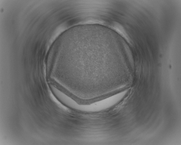 X0000070411476200606231816