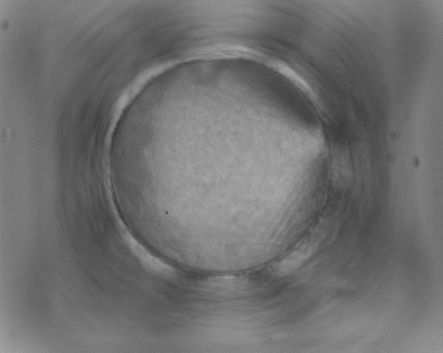 X0000070411478200606231816