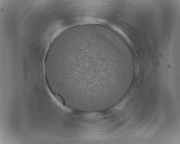 X0000070411479200606231816