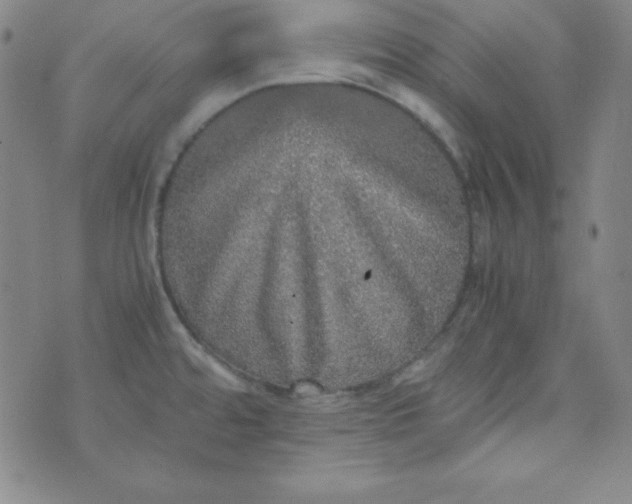 X0000070411480200606231816