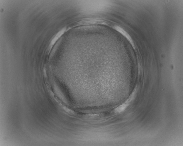 X0000070411481200606231816