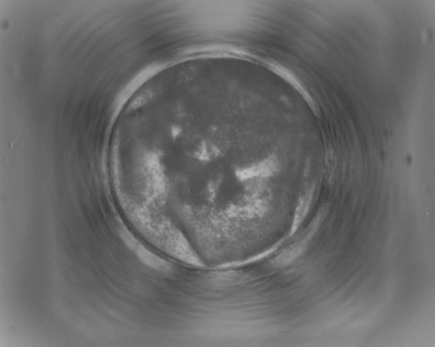 X0000070411482200606231816