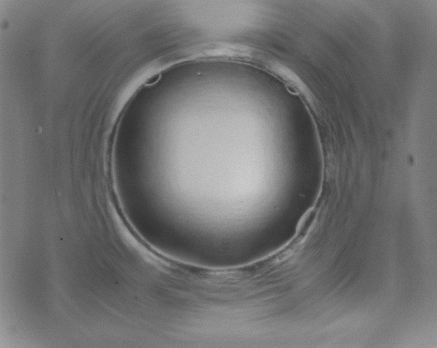 X0000070411483200606231815