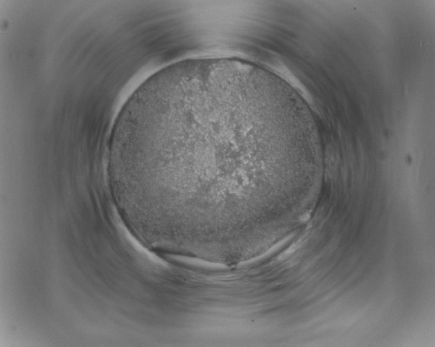 X0000070411484200606231815