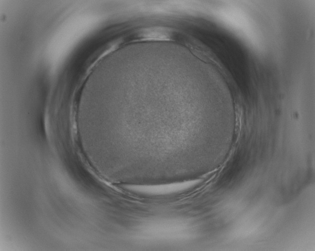 X0000070411487200606231815