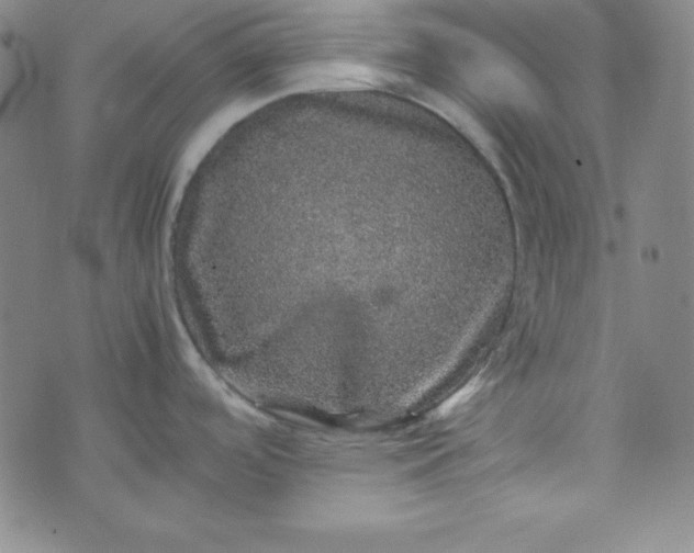 X0000070411488200606231815