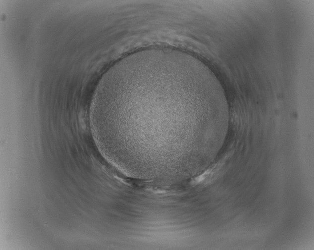 X0000070411490200606231815