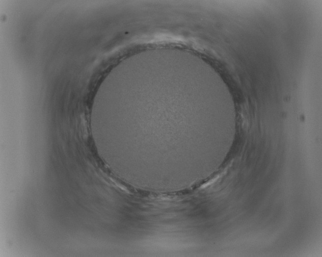 X0000070411493200606231815