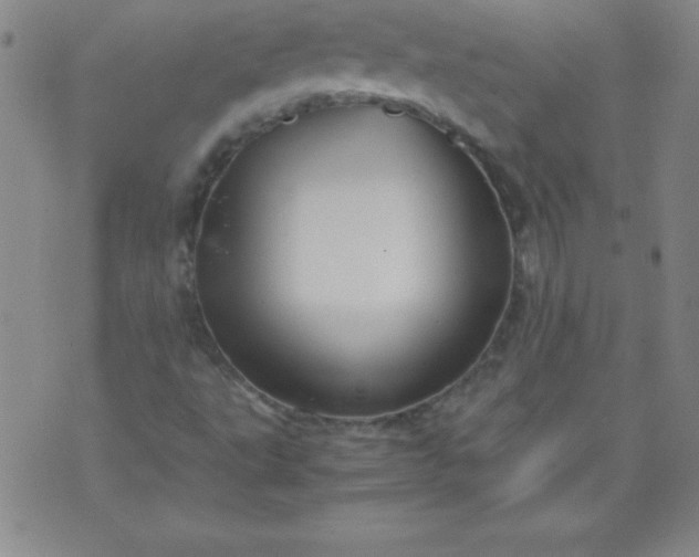 X0000070411495200606231815