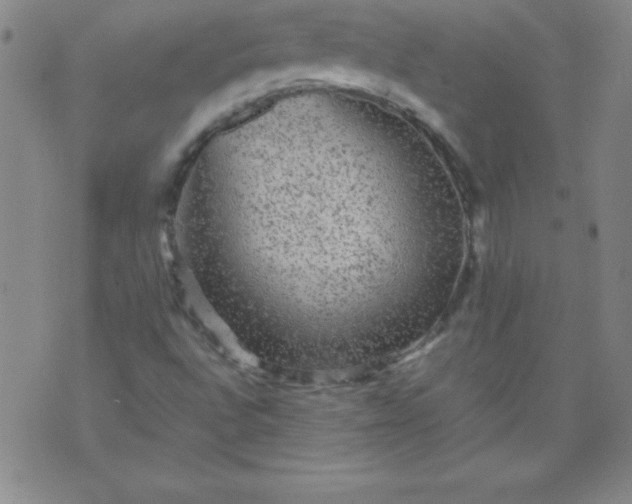 X0000070411496200606231815