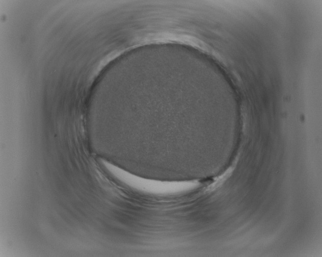 X0000070411497200606231815