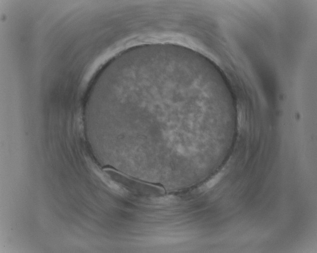 X0000070411498200606231815