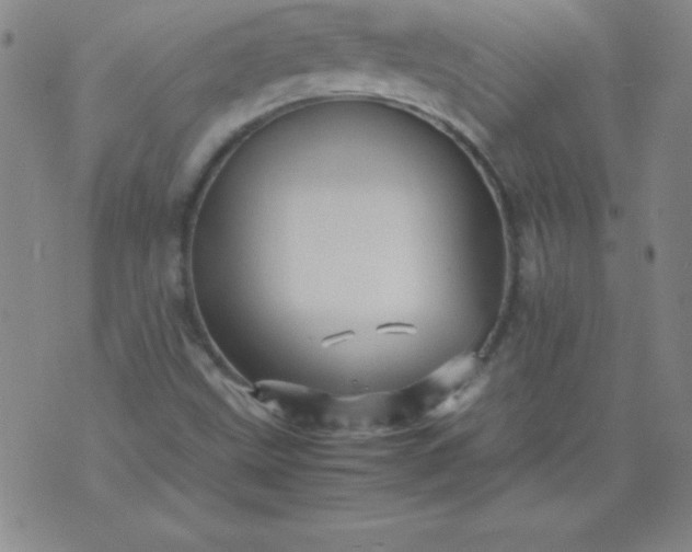 X0000070411499200606231815