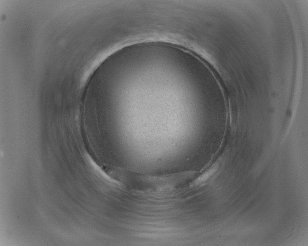 X0000070411500200606231815