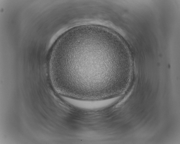 X0000070411501200606231815