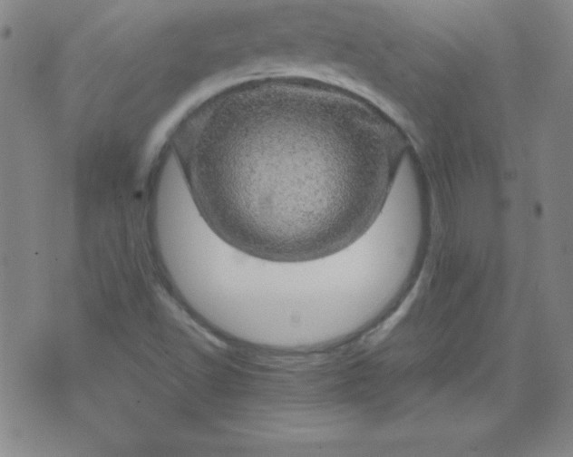 X0000070411502200606231815