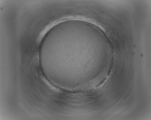 X0000070411503200606231815