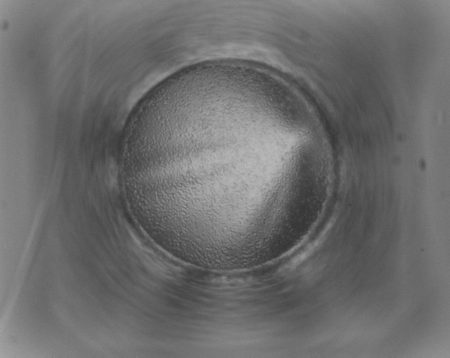 X0000070411505200606231815