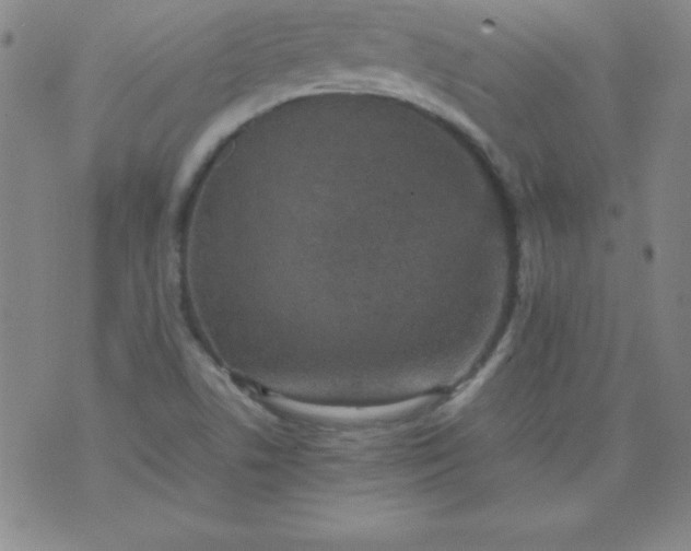 X0000070411506200606231815