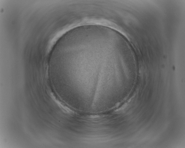 X0000070411507200606231815