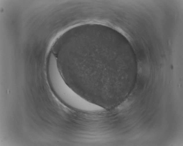 X0000070411508200606231815