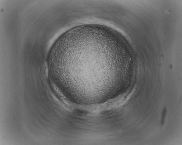 X0000070411509200606231815