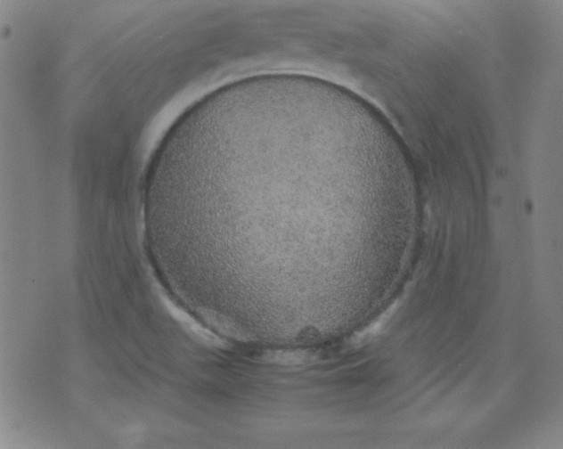 X0000070411511200606231815