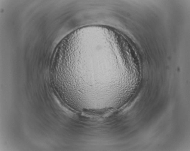 X0000070411513200606231815