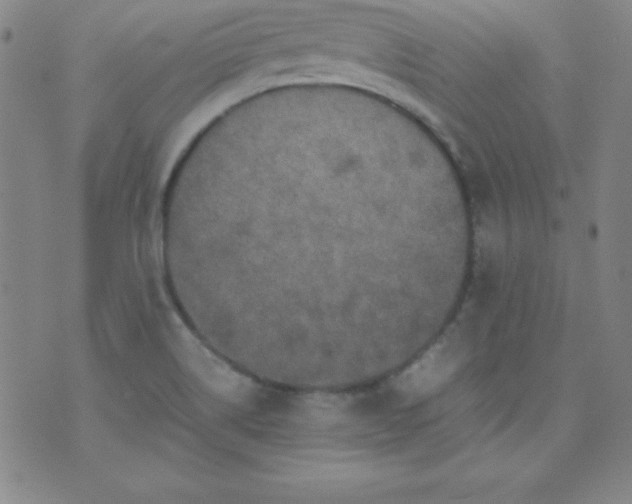 X0000070411514200606231815