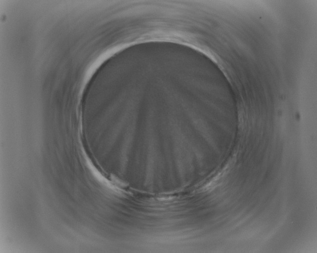 X0000070411515200606231815