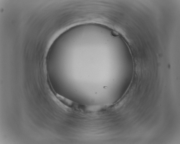 X0000070411516200606231815