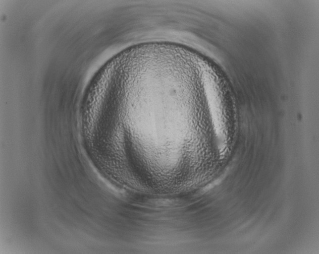 X0000070411517200606231815