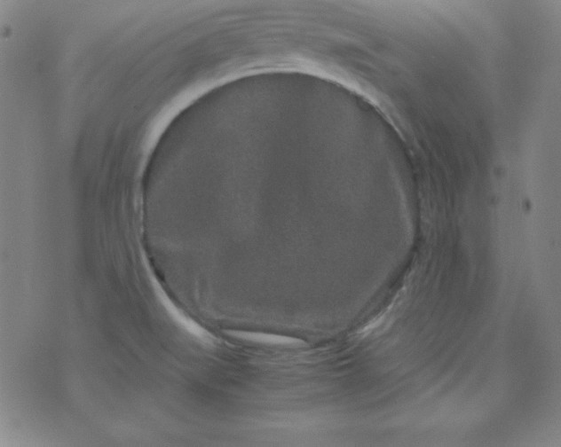 X0000070411519200606231815