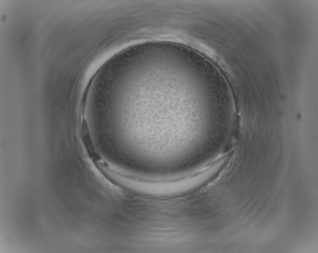 X0000070411520200606231815